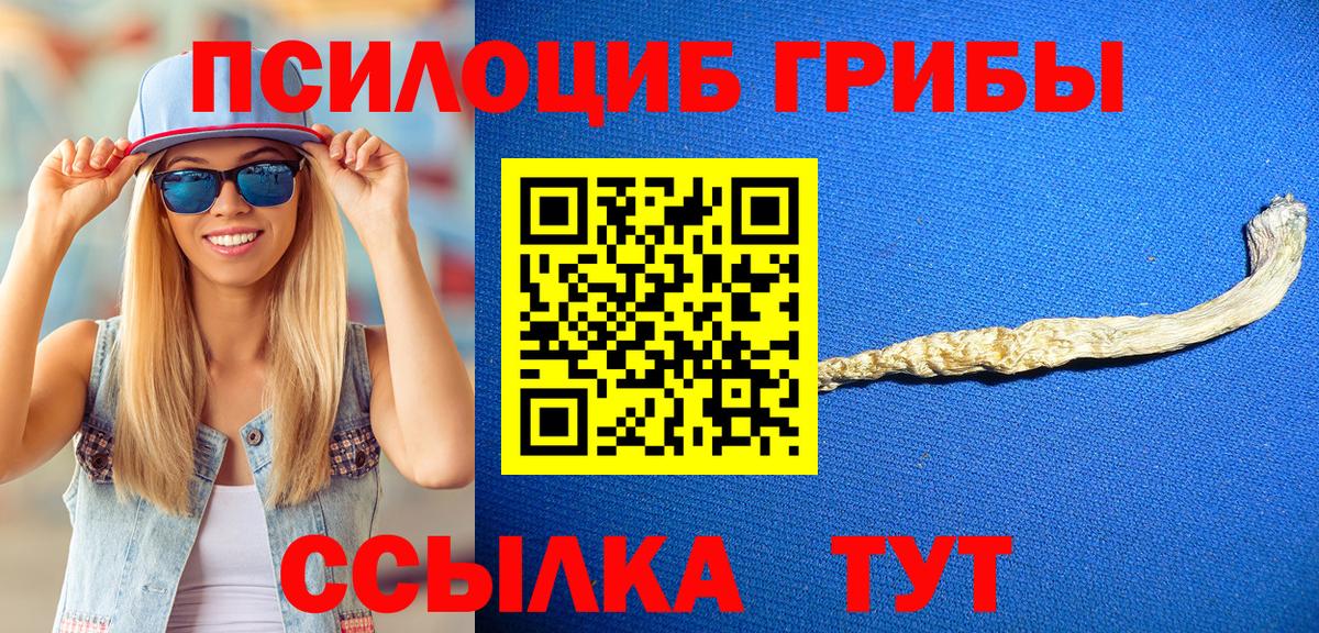 Псилоцибиновые грибы прущие грибы Архангельск